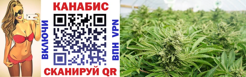 Конопля Bruce Banner Невельск